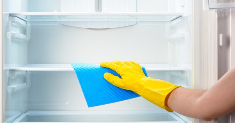 Cómo limpiar y mantener tu heladera para prolongar su vida útil