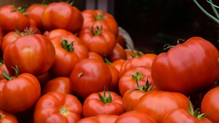 El truco casero que explica cómo hacer que duren más los tomates