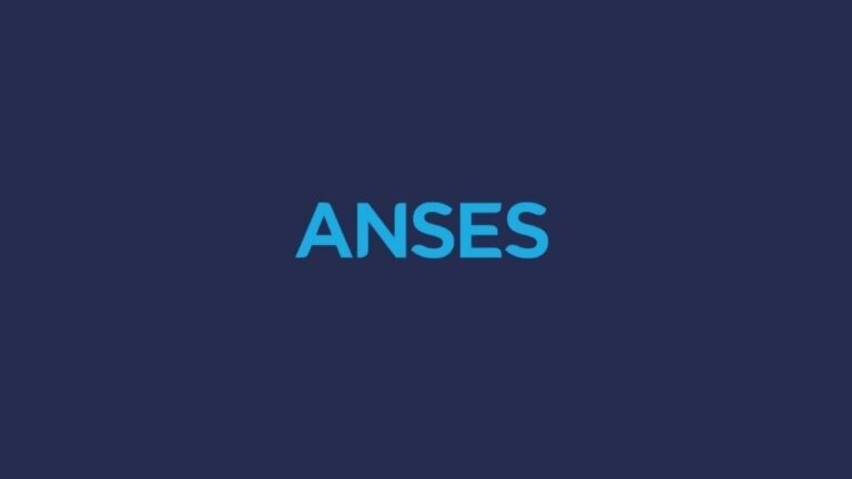 ANSES: de cuánto será la PUAM en febrero