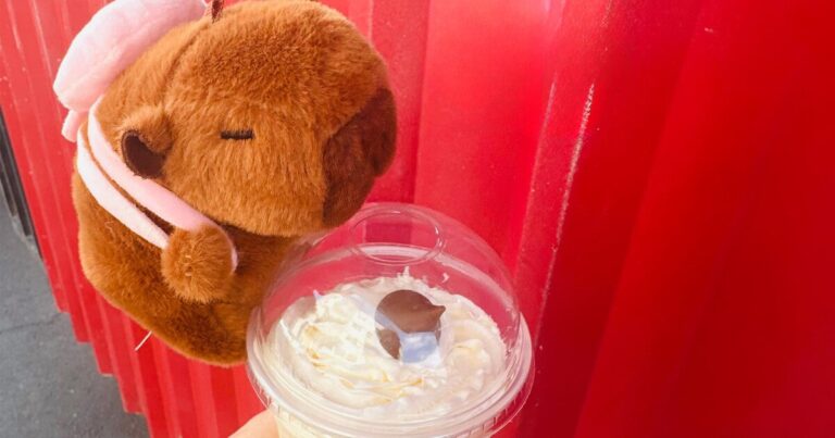 Dónde comprar malteadas con peluches de capibara en la Ciudad de México