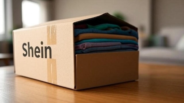 Shein o Temu: cuál es mejor para comprar en Argentina