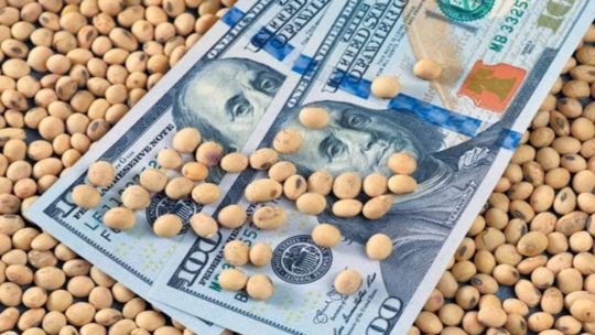 Pablo Furnari: La baja de retenciones favorece más a grandes empresas que a pymes